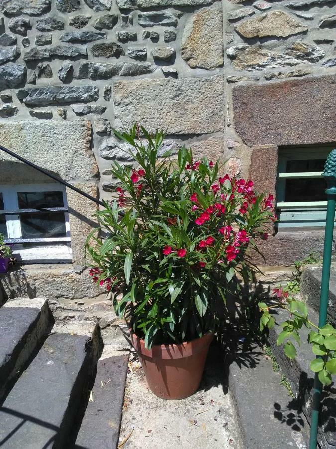Appartamento Le Refuge Des Alpes Mancelles Fresnay-sur-Sarthe Esterno foto