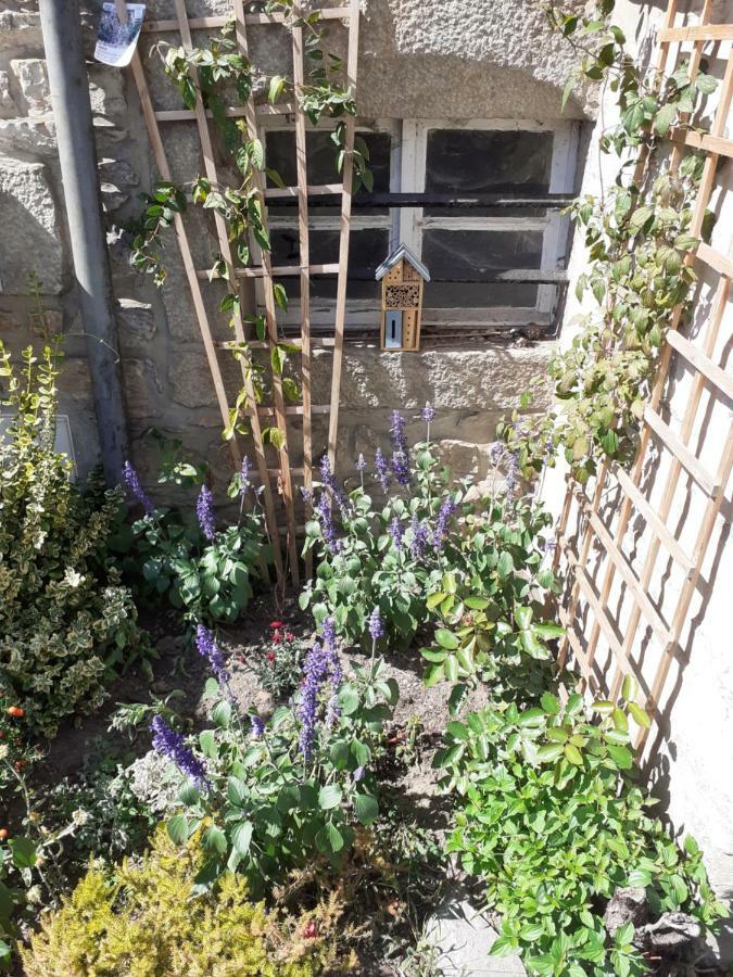 Appartamento Le Refuge Des Alpes Mancelles Fresnay-sur-Sarthe Esterno foto